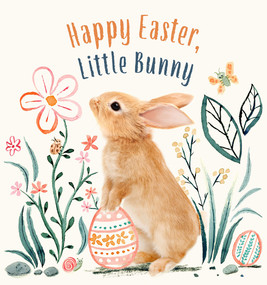 Happy Easter, Little Bunny (A Board Book) by Amanda Wood, Vikki Chu, Bec Winnel, 9781419766640